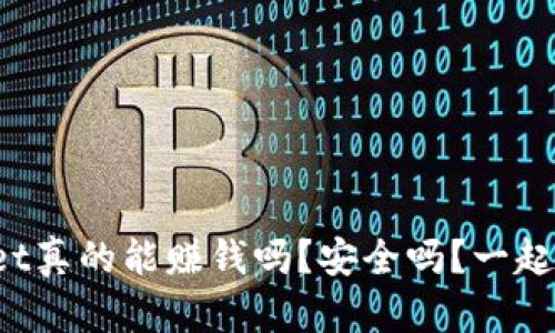 tpWallet真的能赚钱吗？安全吗？一起看看吧！