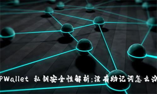 TPWallet 私钥安全性解析：没有助记词怎么办？