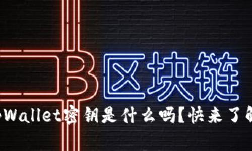 你知道tpWallet密钥是什么吗？快来了解一下吧！