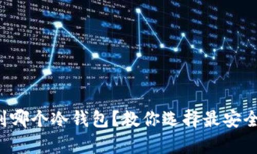 屎币可以存到哪个冷钱包？教你选择最安全的存储方式！