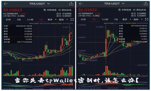 当你失去tpWallet密钥时，该怎么办？