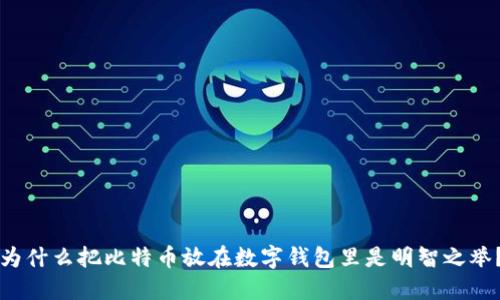 为什么把比特币放在数字钱包里是明智之举？