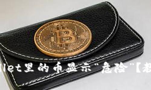 为什么tpWallet里的币显示“危险”？教你如何解决！