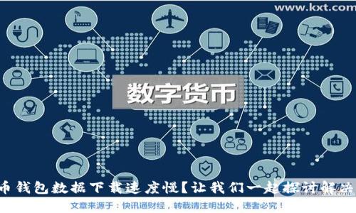 比特币钱包数据下载速度慢？让我们一起探讨解决方案！