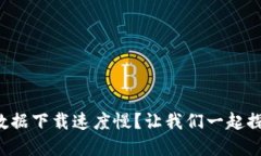 比特币钱包数据下载速度慢？让我们一