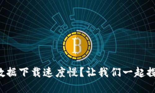 比特币钱包数据下载速度慢？让我们一起探讨解决方案！
