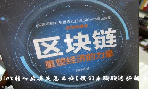 tpWallet转入后丢失怎么办？我们来聊聊这些解决方案！