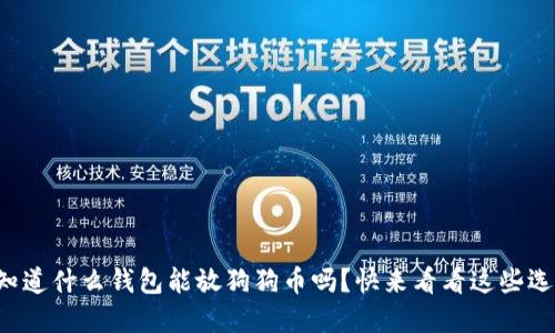 想知道什么钱包能放狗狗币吗？快来看看这些选择！