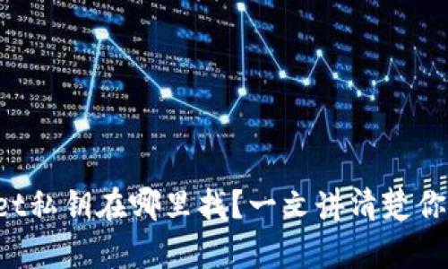 tpWallet私钥在哪里找？一文讲清楚你的疑惑！