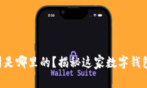 tpWallet公司是哪里的？揭秘这家数字钱包背后的故事！
