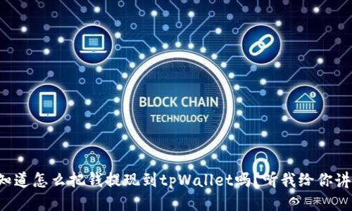 想知道怎么把钱提现到tpWallet吗？听我给你讲讲！