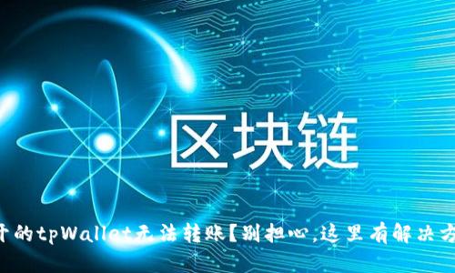新开的tpWallet无法转账？别担心，这里有解决方法！
