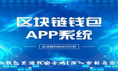 手机钱包里借钱安全吗？深入分析与你分享