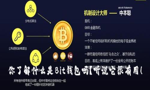 你了解什么是Bit钱包吗？听说它很有用！