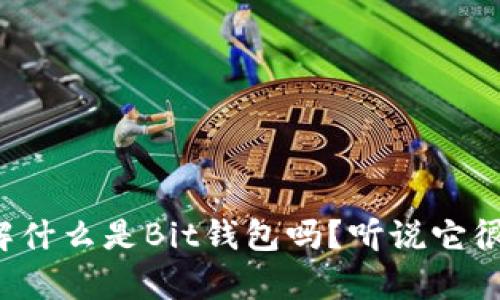 你了解什么是Bit钱包吗？听说它很有用！
