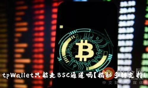 tpWallet只能走BSC通道吗?揭秘多链支持!