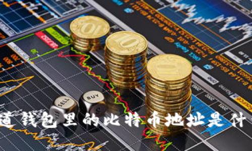 你知道钱包里的比特币地址是什么吗？