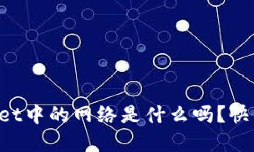 你知道tpWallet中的网络是什么吗？快来了解一下吧！