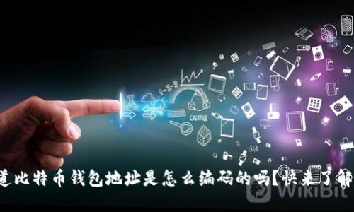 你知道比特币钱包地址是怎么编码的吗？快来了解一下！