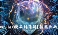 为什么我的tpWallet搜不到薄饼？解锁你