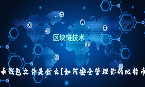 比特币钱包文件是什么？如何安全管理你的比特币资产