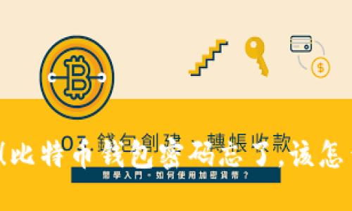 “哎呀！比特币钱包密码忘了，该怎么办？”