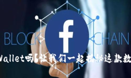 : 你听说过tpWallet吗？让我们一起揭秘这款数字钱包的魅力！