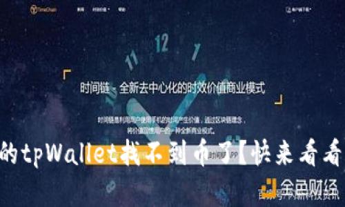 为什么我的tpWallet找不到币了？快来看看解决办法！