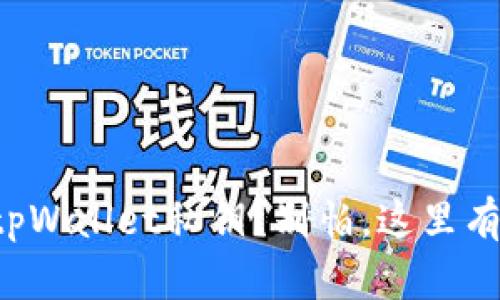 如何轻松查看tpWallet私钥？别怕，这里有你需要的技巧！