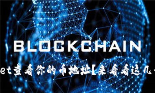怎么用tpWallet查看你的币地址？来看看这几个简单步骤吧！