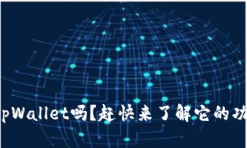 你知道电脑版tpWallet吗？赶快来了解它的功能和使用技巧！