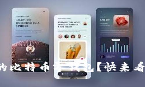 如何选择适合你的比特币零钱包？快来看看这些实用建议！