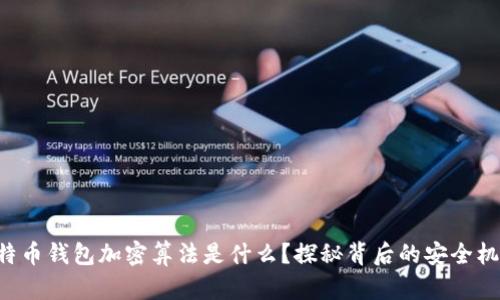 比特币钱包加密算法是什么？探秘背后的安全机制！