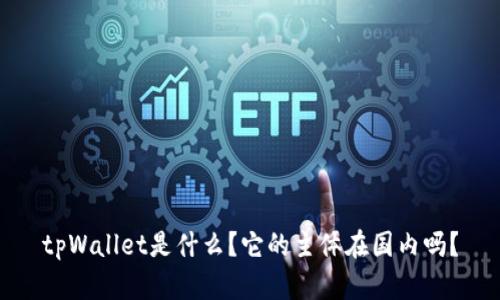 tpWallet是什么？它的主体在国内吗？