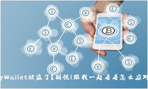 tpWallet被盗了？别慌！跟我一起看看怎么应对！