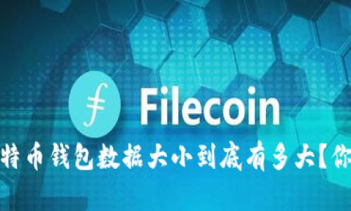 11年比特币钱包数据大小到底有多大？你了解吗？