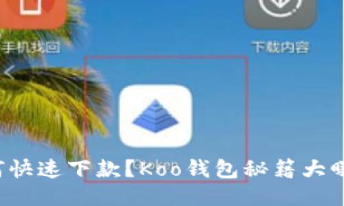 如何快速下款？Koo钱包秘籍大曝光！