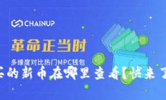 tpWallet买的新币在哪里查看？快来了解