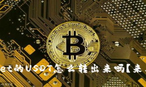 你知道tpWallet的USDT怎么转出来吗？来看看这些步骤！