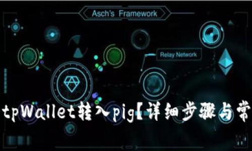 如何快速将tpWallet转入pig？详细步骤与常见问题解答