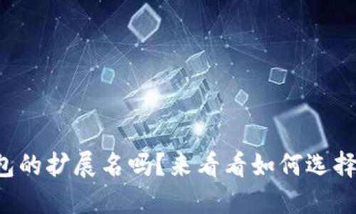 你知道比特币钱包的扩展名吗？来看看如何选择适合你的钱包吧！