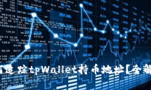 如何追踪tpWallet持币地址？全解析！