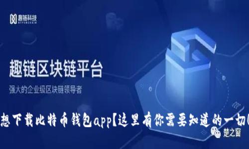 想下载比特币钱包app？这里有你需要知道的一切！