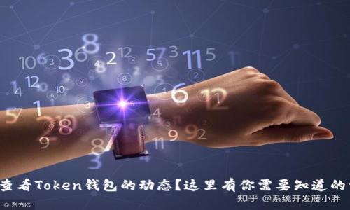 如何查看Token钱包的动态？这里有你需要知道的一切！