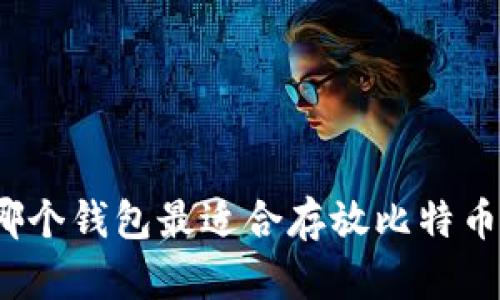 哪个钱包最适合存放比特币？