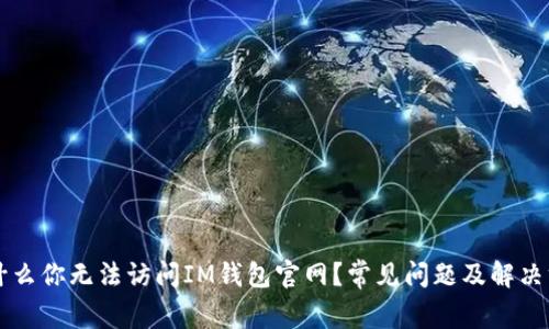 为什么你无法访问IM钱包官网？常见问题及解决方法
