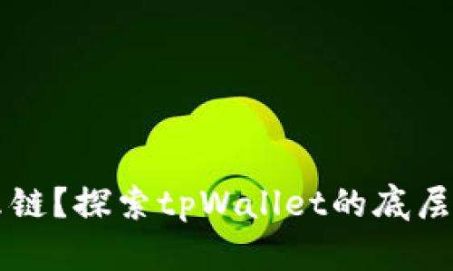 tpWallet是什么链？探索tpWallet的底层技术与应用场景