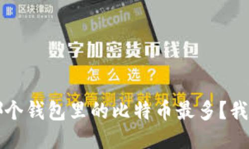 你知道吗？哪个钱包里的比特币最多？我们来聊聊吧！