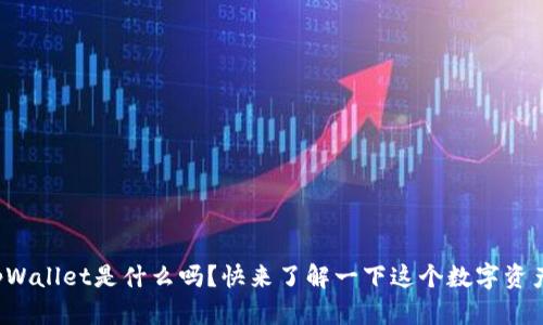 你知道tpWallet是什么吗？快来了解一下这个数字资产钱包吧！
