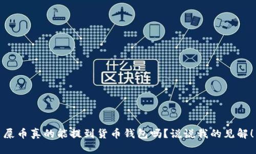 屎币真的能提到货币钱包吗？说说我的见解！